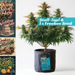 Grow Bucket Living Soil organic